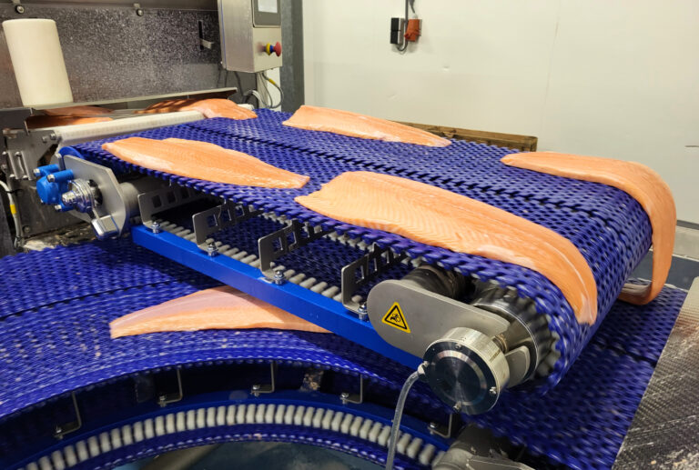Salmon flipper conveyor